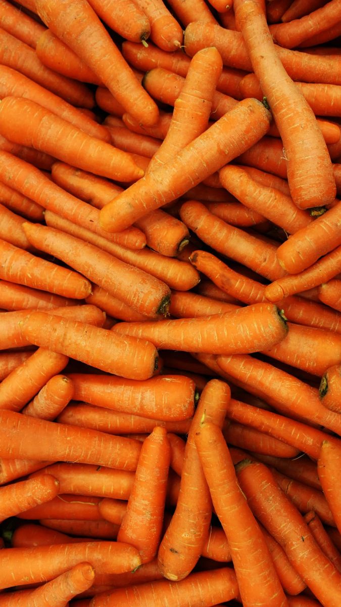 Real Carrot