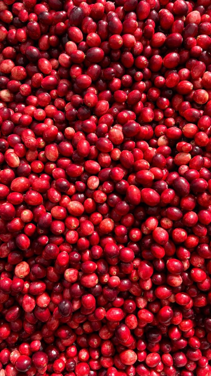 Cranberry