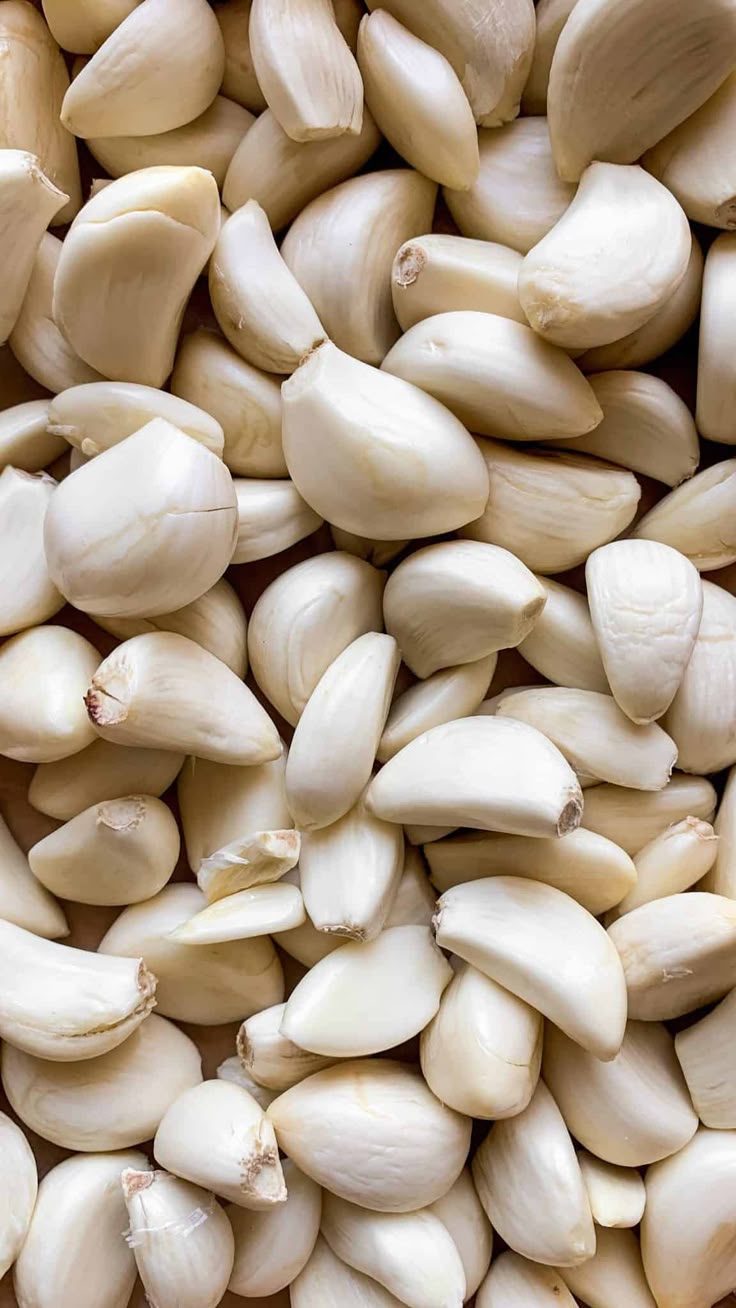 Garlic