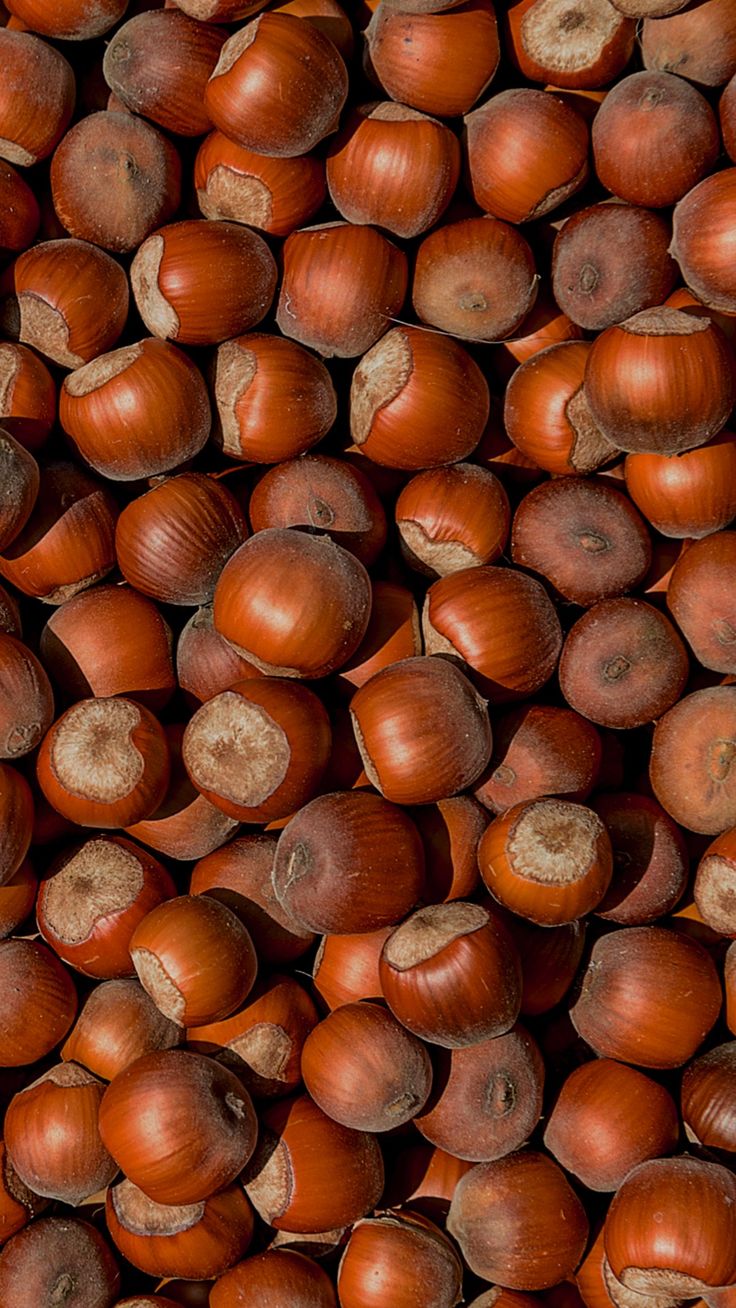 Whole Roasted Hazelnuts