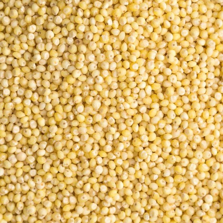 Millet