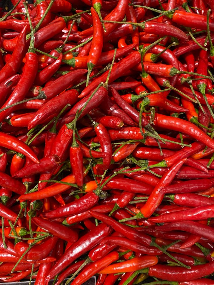 Red Chilli