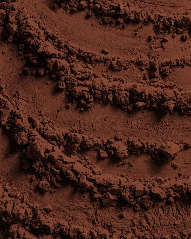 Cocoa